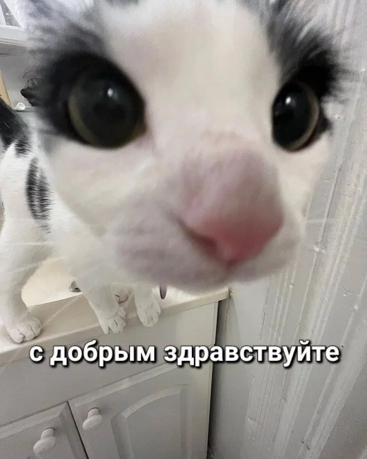 10.webp