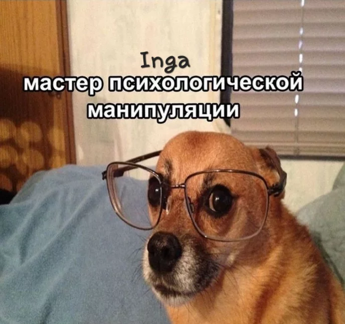 1691584081156724226.webp
