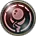 1747218137364.webp