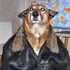 1747552271263.webp