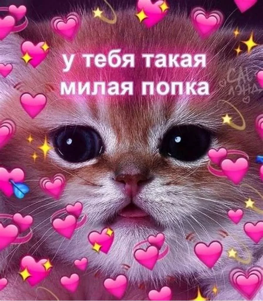 1747670873691.webp