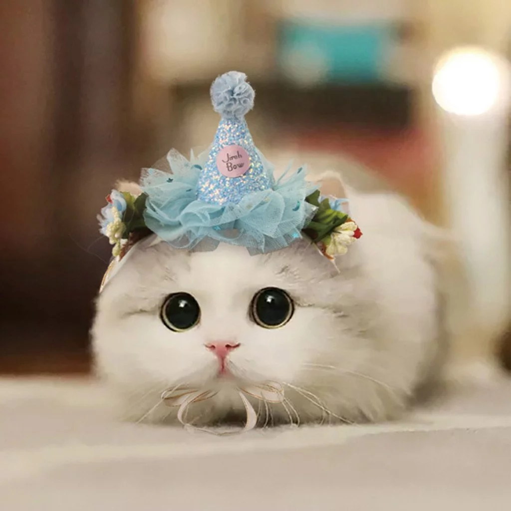 1747717773409.webp
