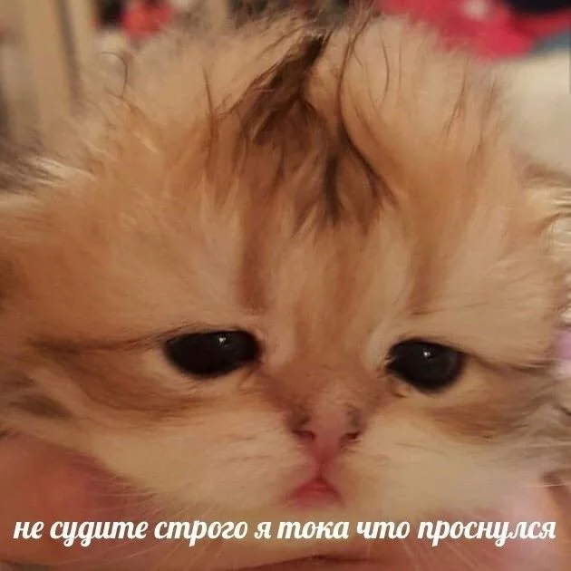 1747963242490.webp