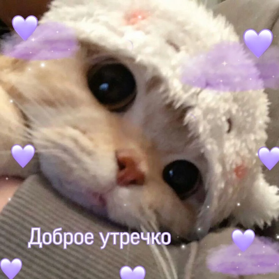 1747999994821.webp
