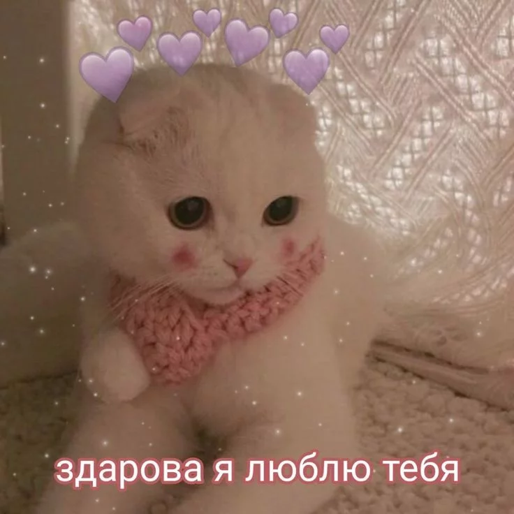 1748000316930.webp