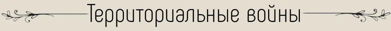 1748869985899.webp