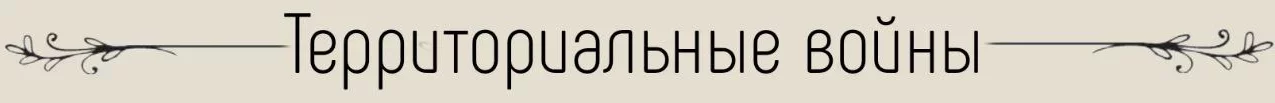 1749474820836.webp