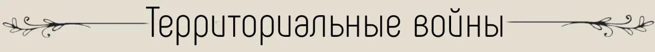 1750085287495.webp