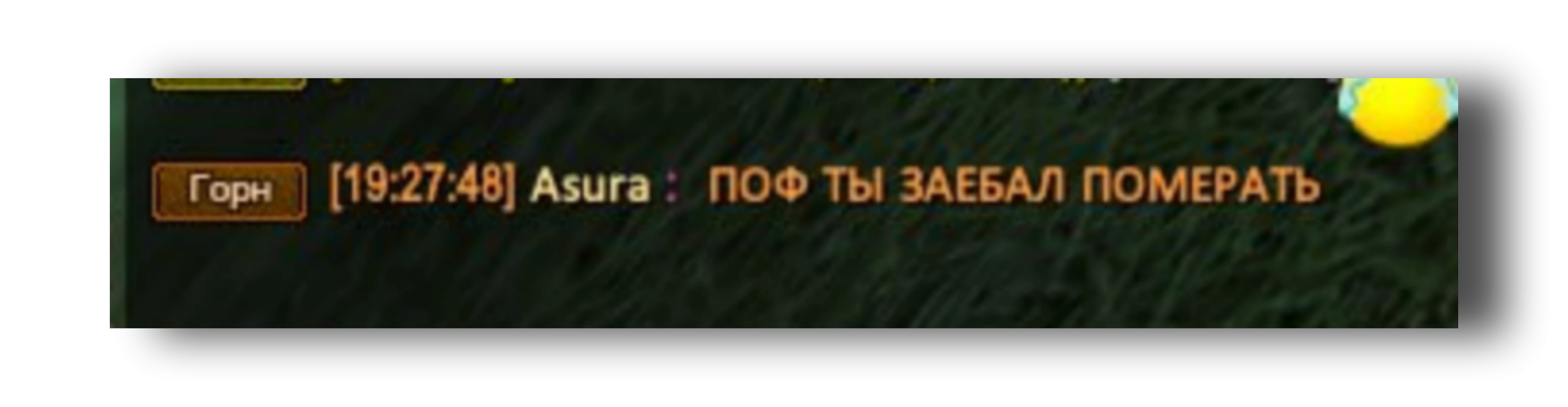 1750095766686.webp
