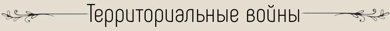 1751199546352.webp
