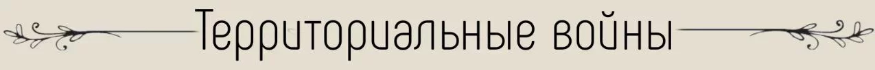 1752497106300.webp