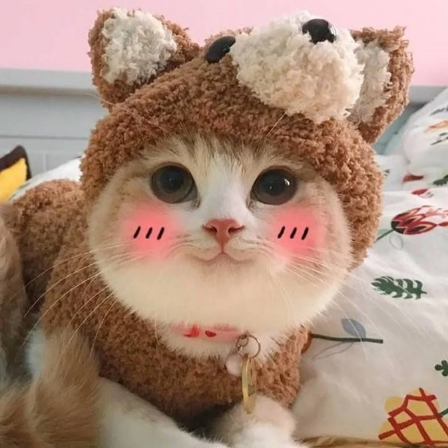 1758929488546.webp