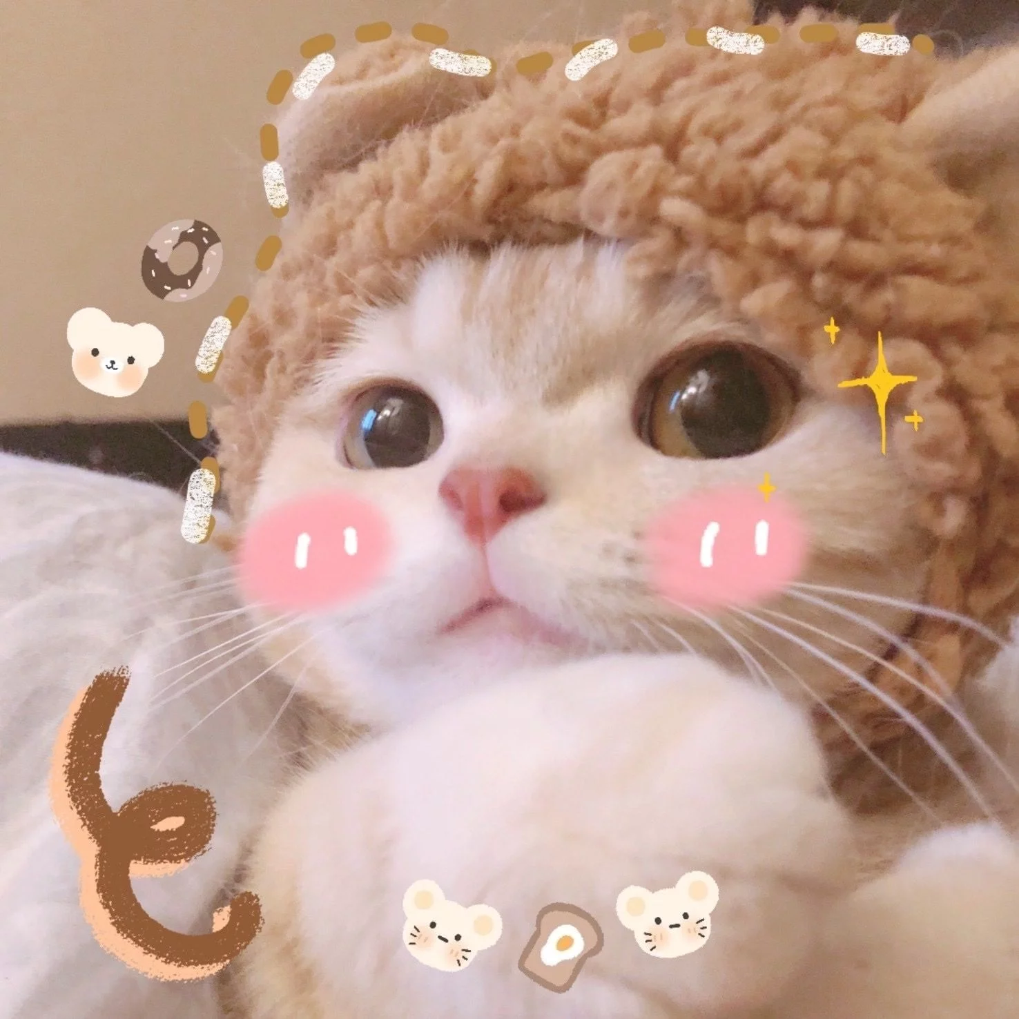 1759170698038.webp
