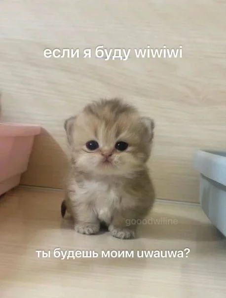 1759247506690.webp
