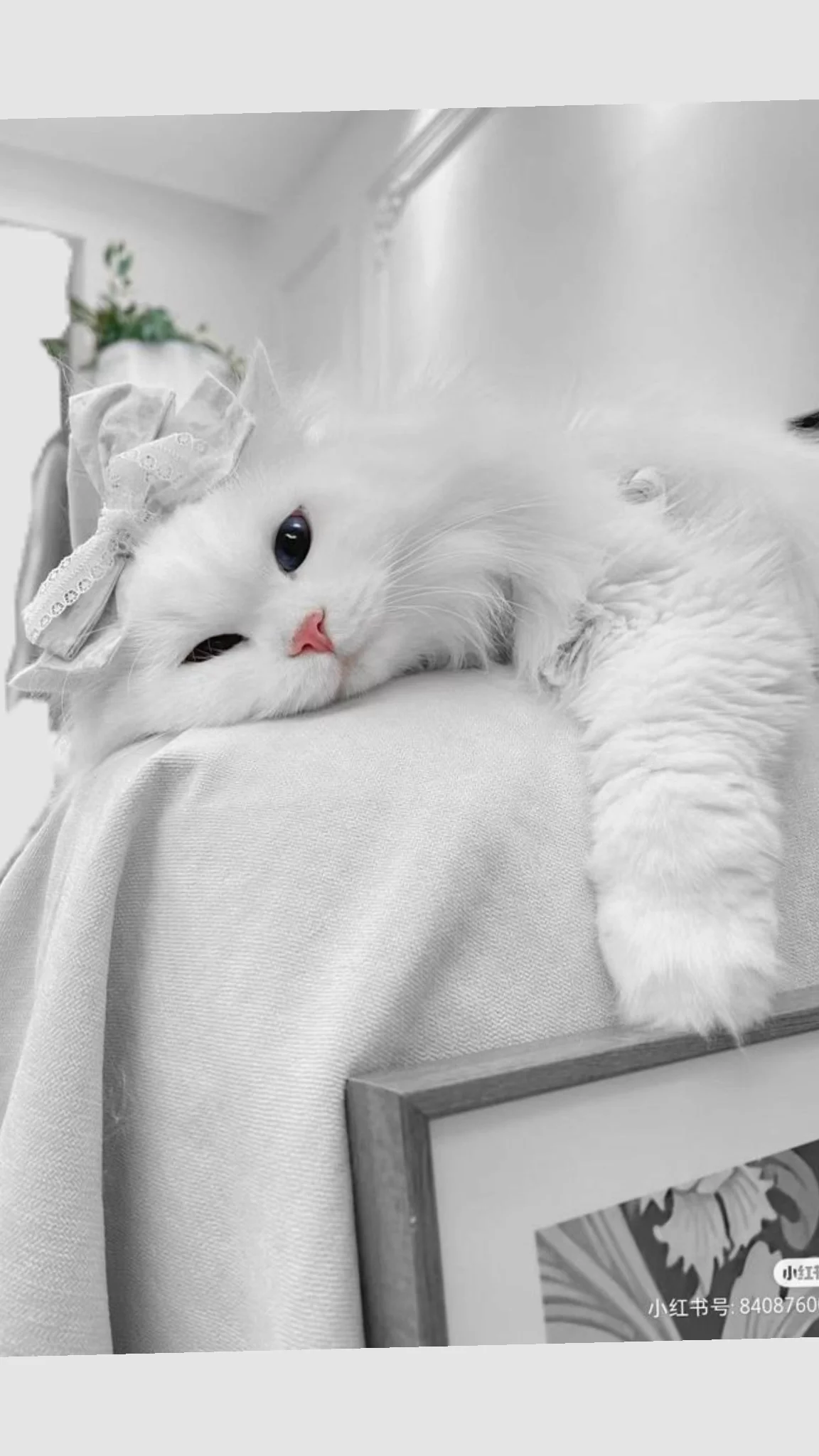 Ап:3