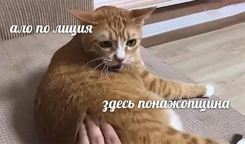 1759784366294.webp