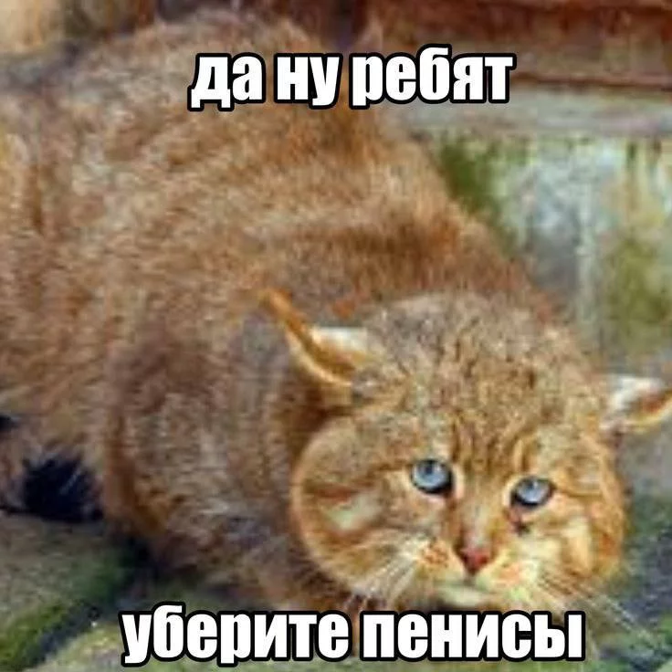 1759784988619.webp