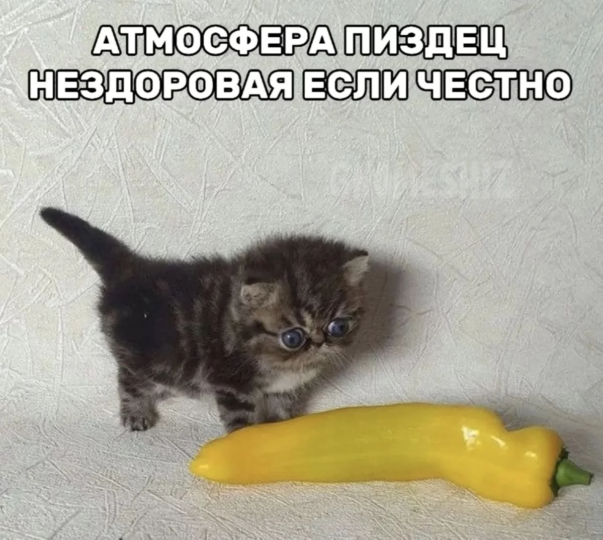 1759785557859.webp