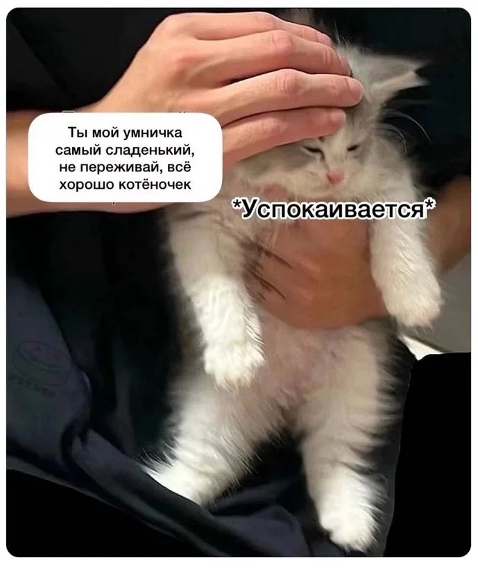 1759786293299.webp
