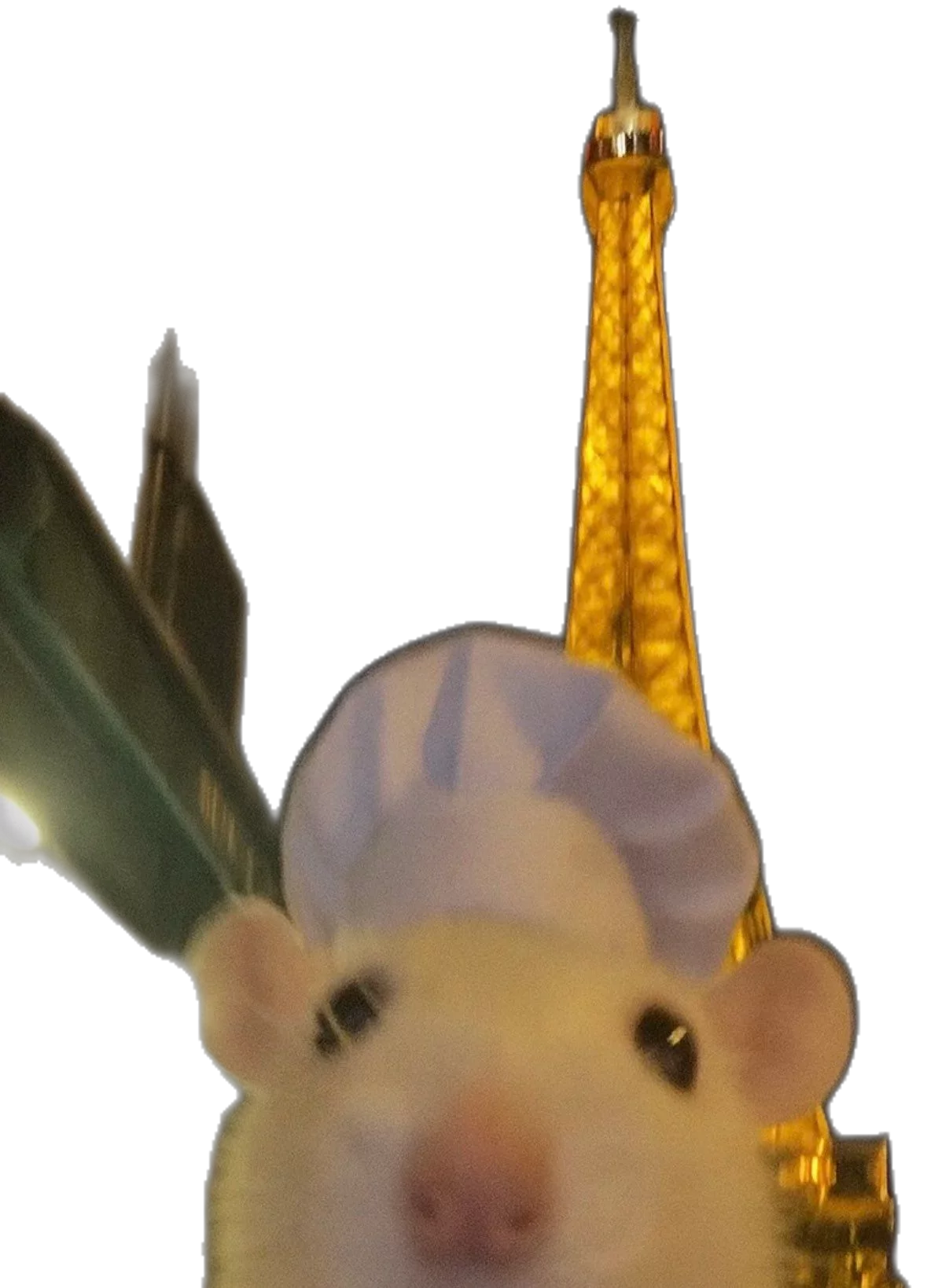 1759786669881.webp
