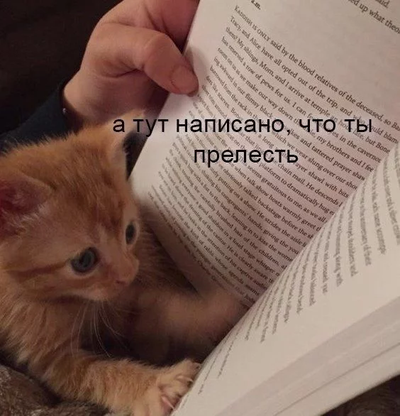 1759786801921.webp