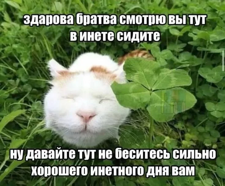1759818517326.webp