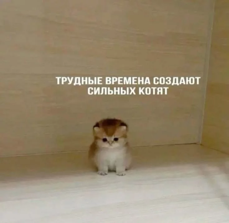 1760133450864.webp