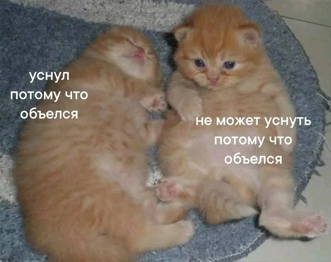 1760303673965.webp