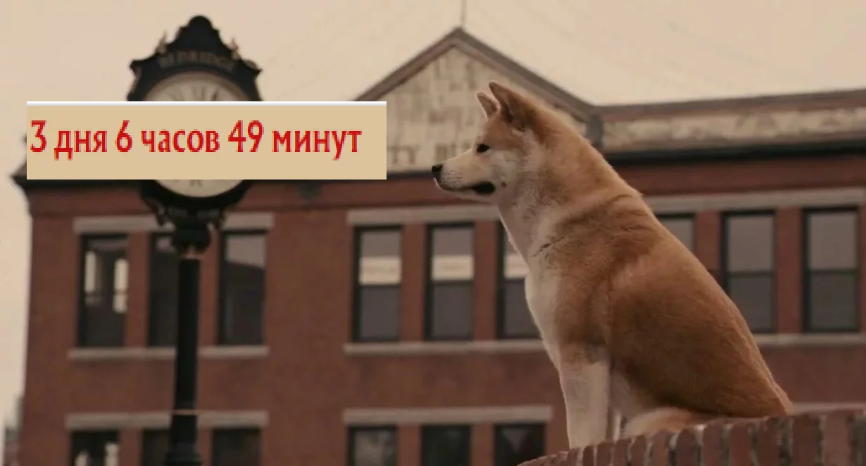 1760429487713.webp