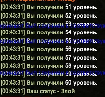 1786225559387.webp