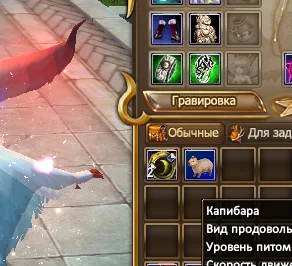 1786231100685.webp