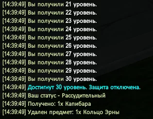 1786275606562.webp
