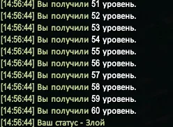 1786276688195.webp