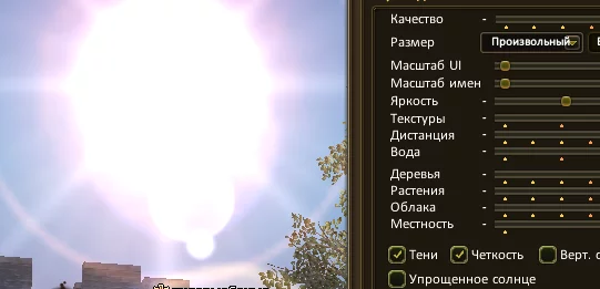 1786305404348.webp