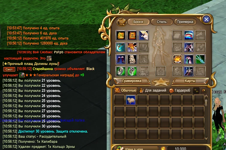 1786348655453.webp