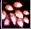 1786818225691.webp