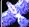 1786984684355.webp