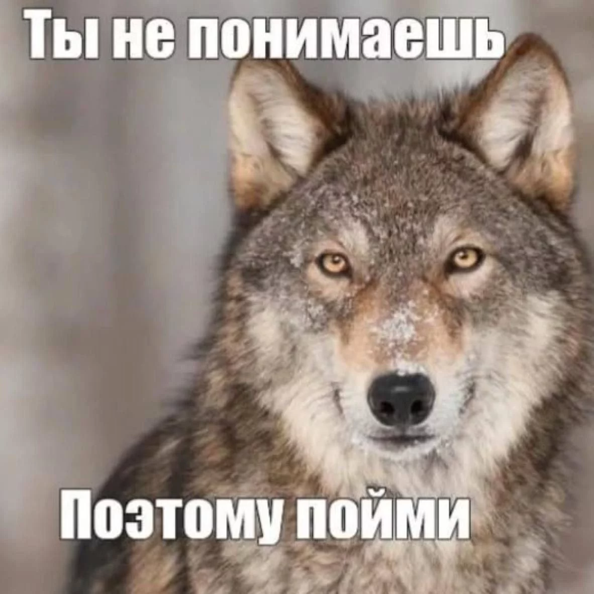 1787841411534.webp