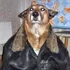 1787851289080.webp