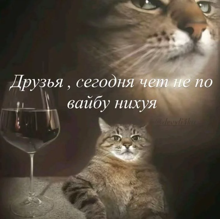 1790082690629.webp