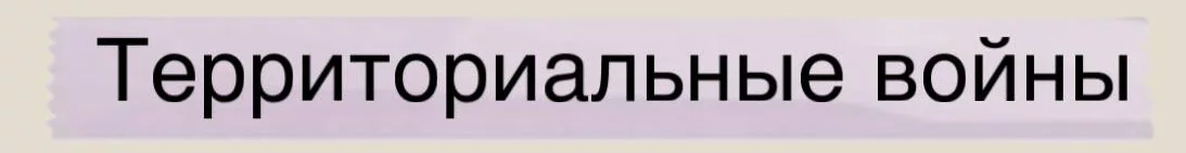 1792013146388.webp