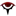 1792604856553.webp