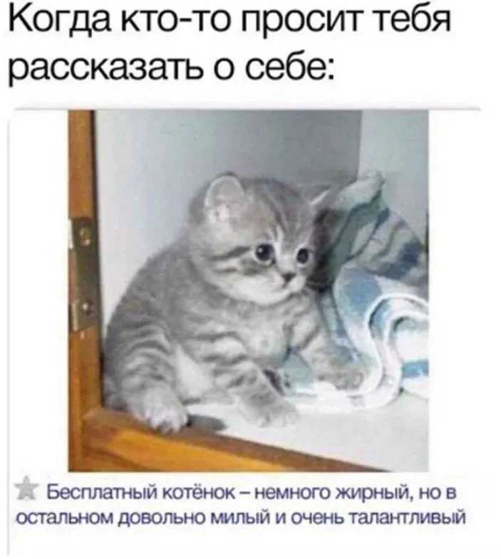 7.webp