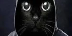 images.webp