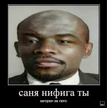 IMG_20210929_065301.webp