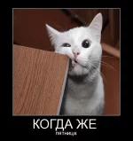 пятница.webp