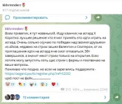 1747858188197.webp