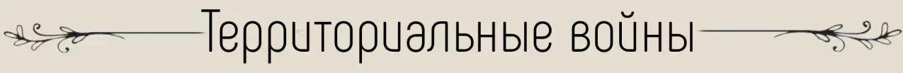 1753135988429.webp