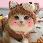 1758929488546.webp
