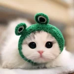 1758979355162.webp